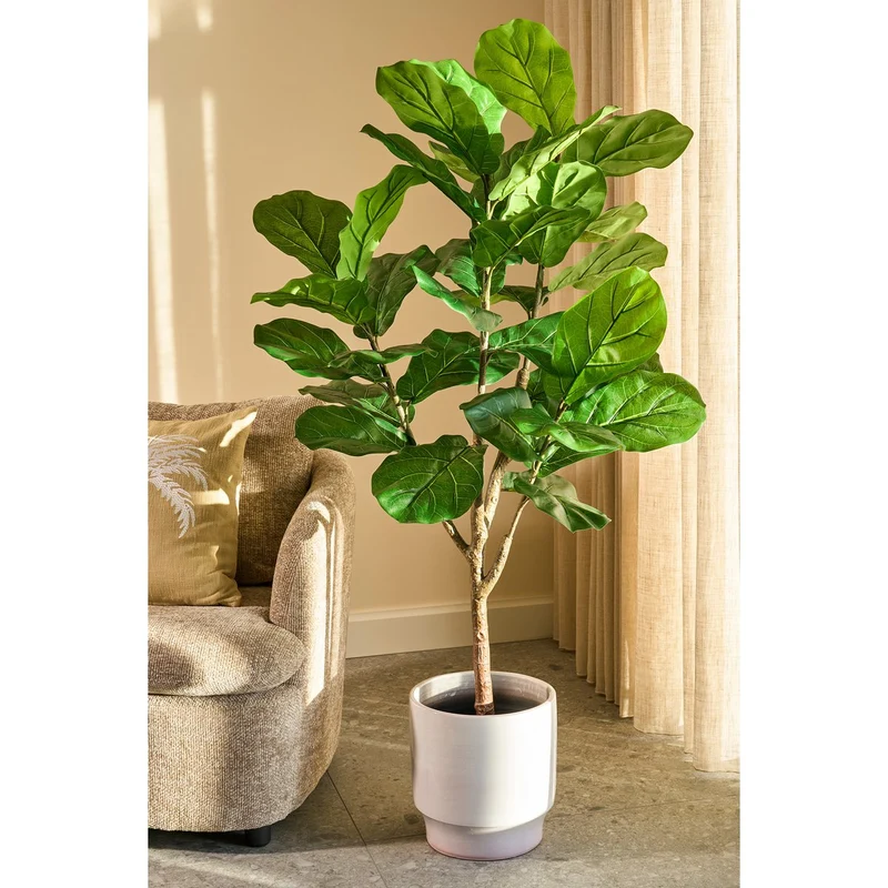 Künstliche Ficus lyrata