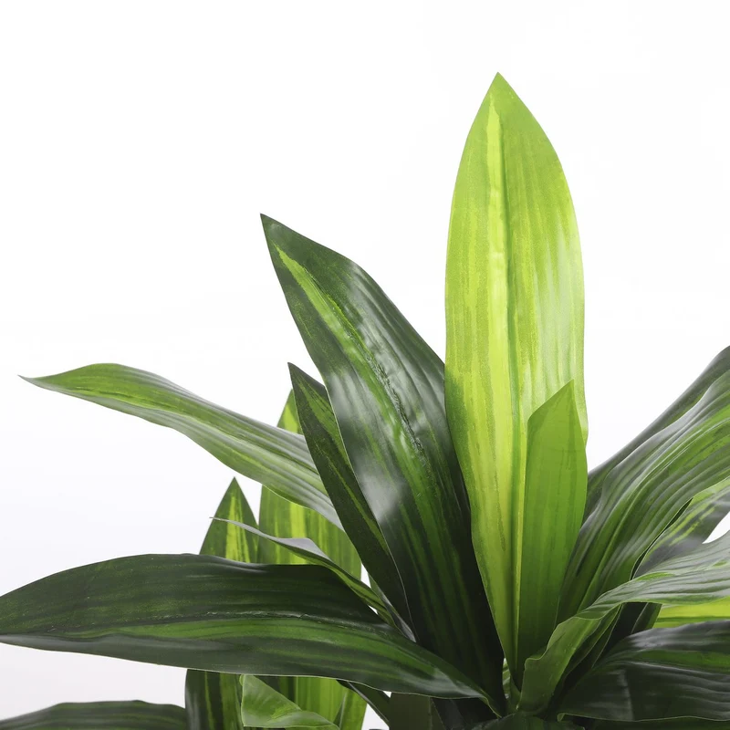Künstliche Dracaena (110 cm)