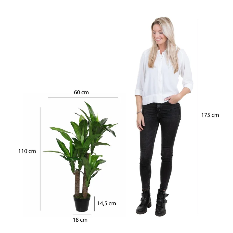 Künstliche Dracaena (110 cm)