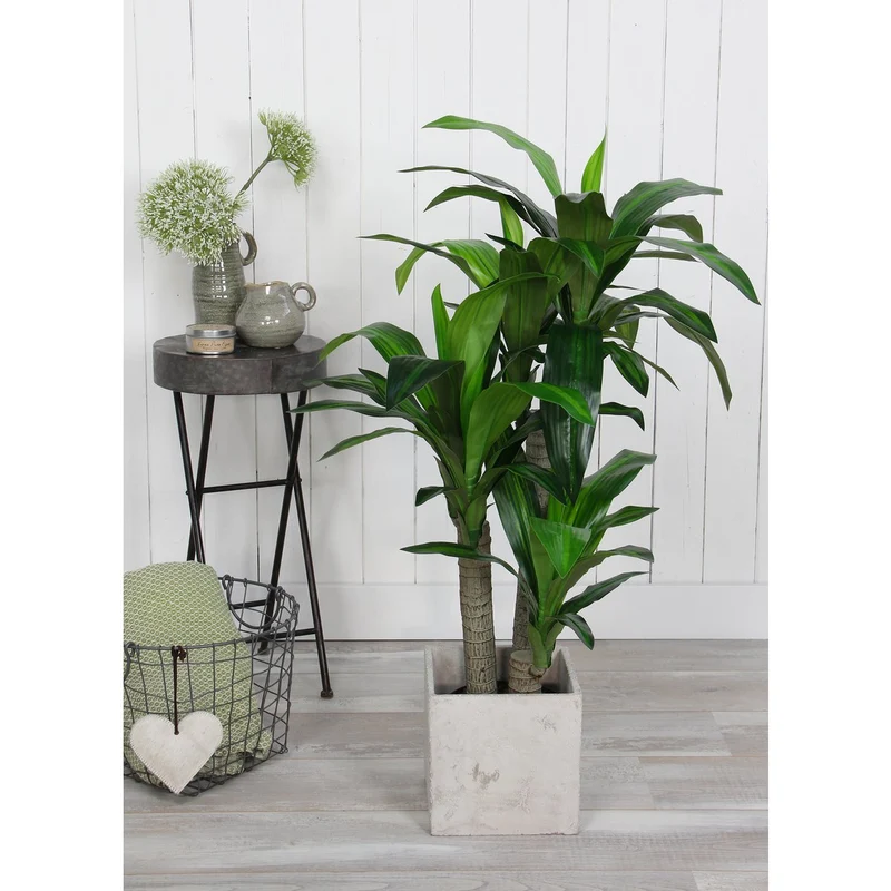 Künstliche Dracaena (110 cm)