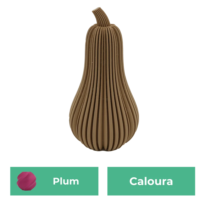 Caloura-Kürbis