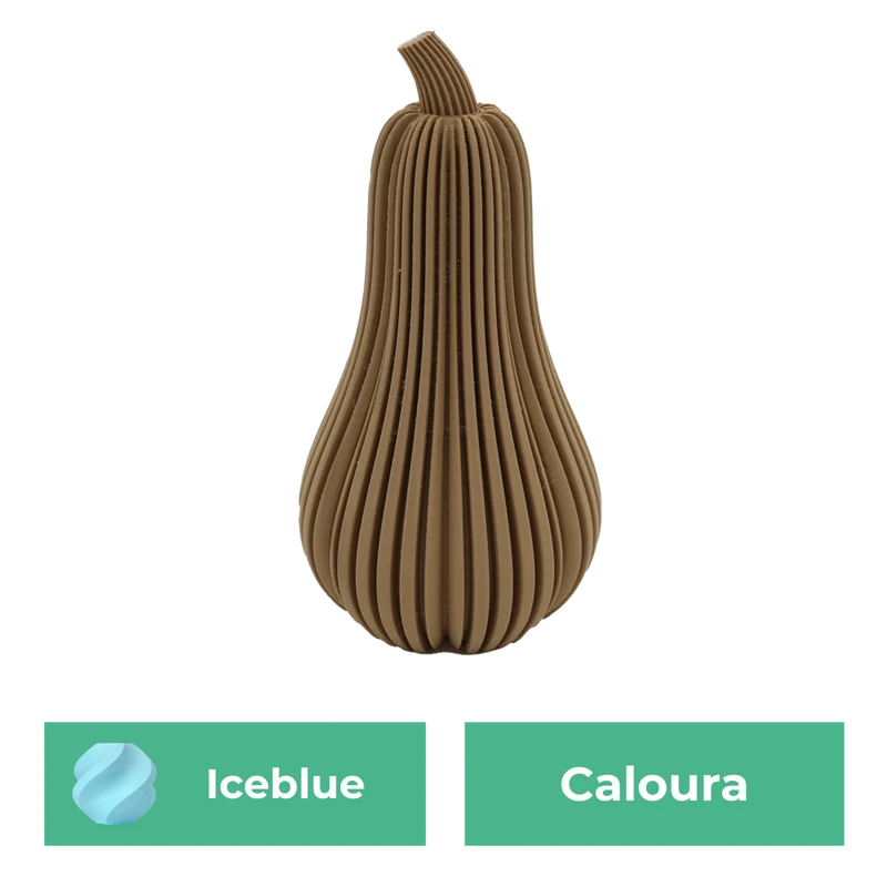 Caloura-Kürbis