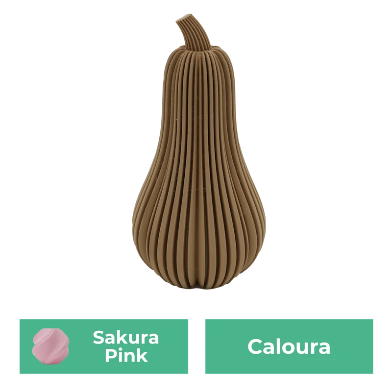 Caloura-Kürbis