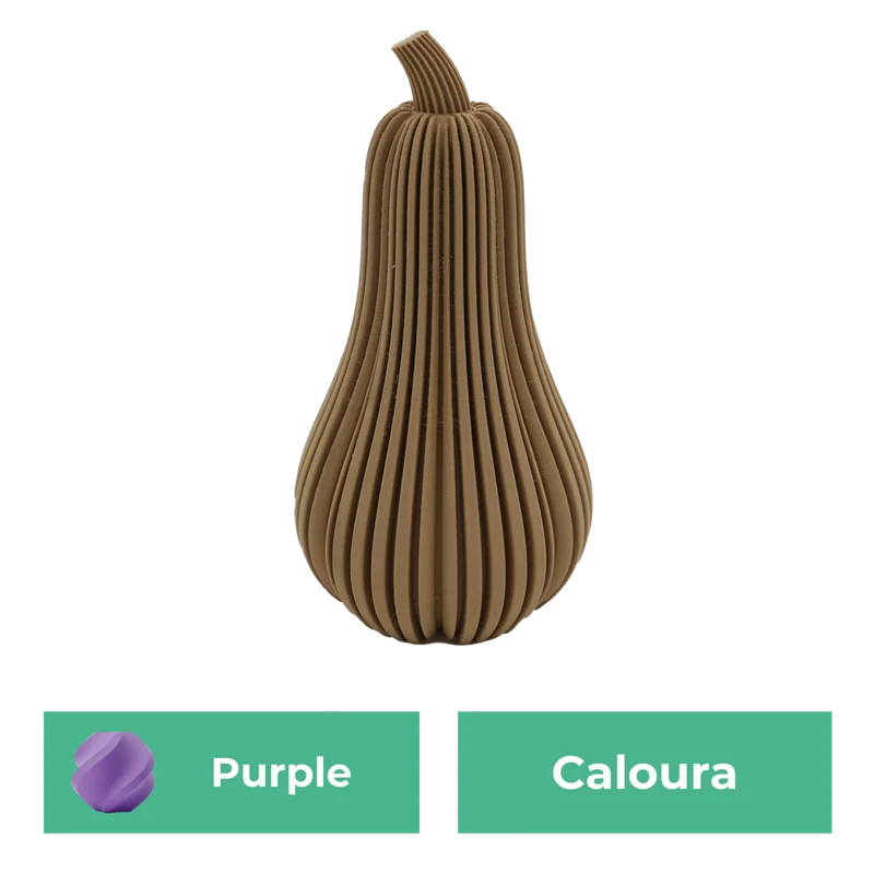 Caloura-Kürbis