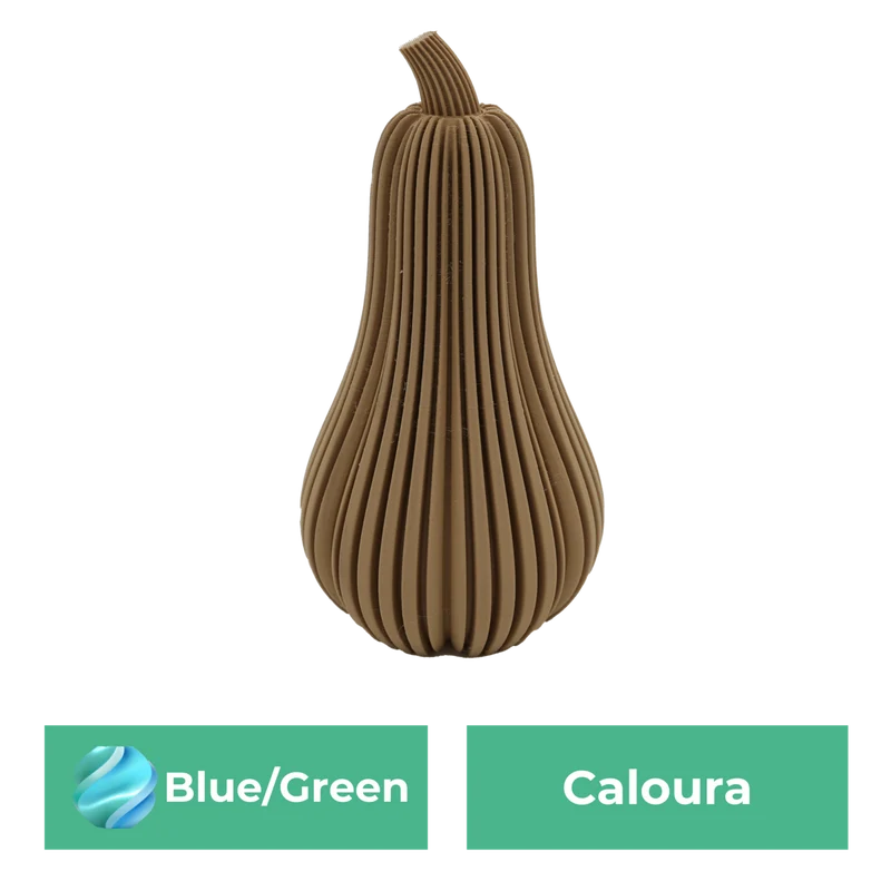Caloura-Kürbis