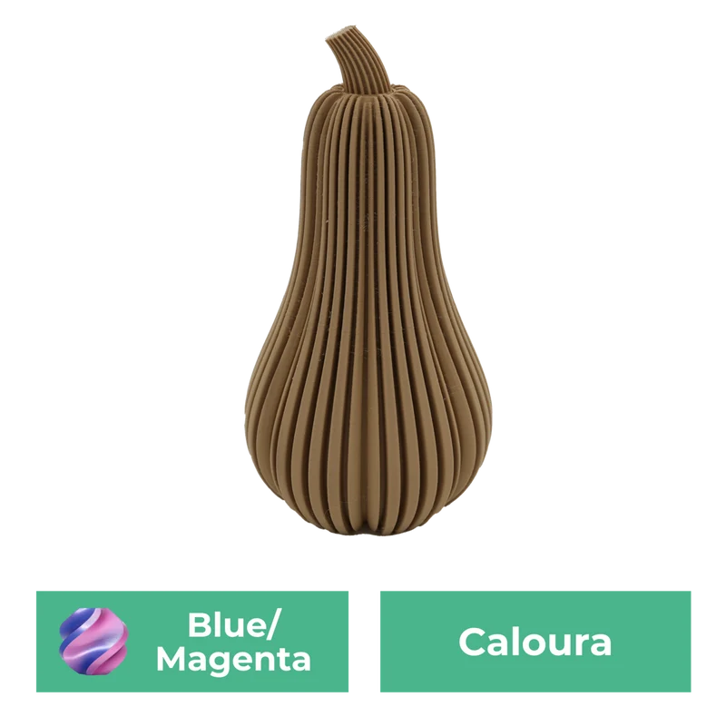 Caloura-Kürbis
