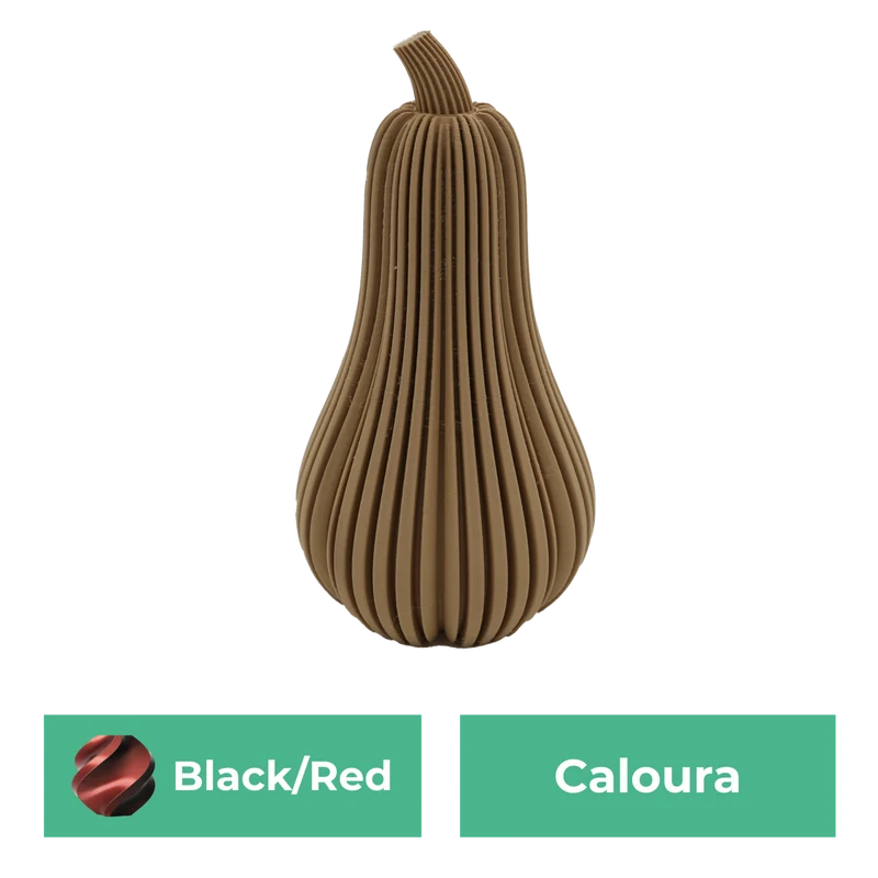 Caloura-Kürbis