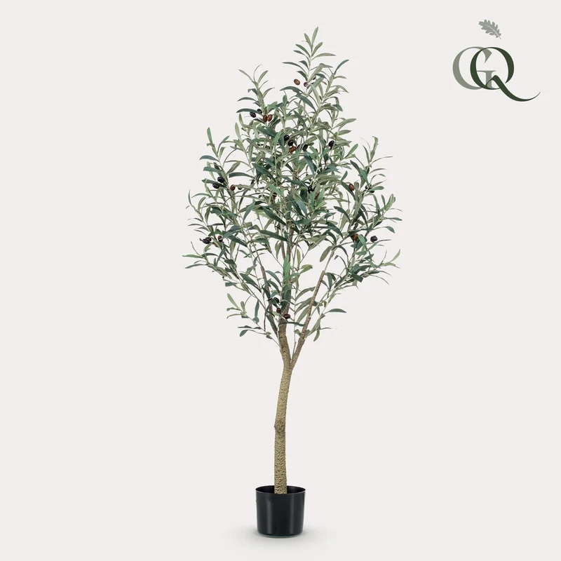 Art Olivenbaum - Olea Europaea - Olivenbaum - 140 cm