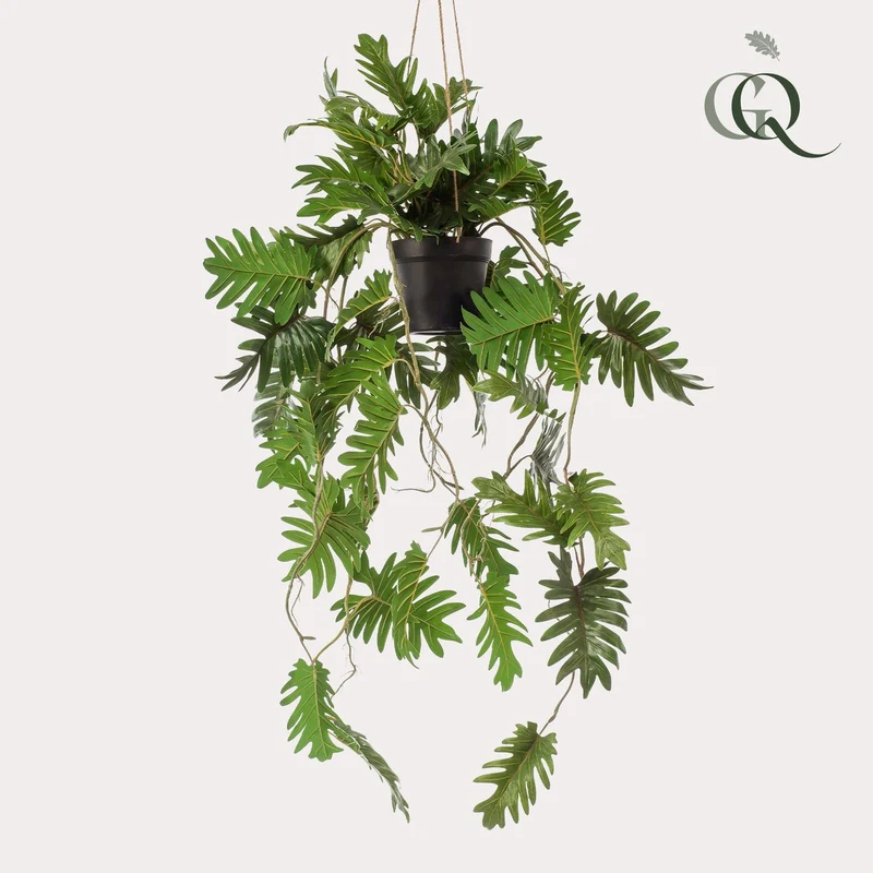Kunstpflanze - Philodendron - Kletterbaumliebhaber - 80 cm