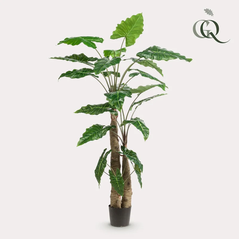 Künstliche Pflanze - Alocasia - Elefantenohr - 180 cm
