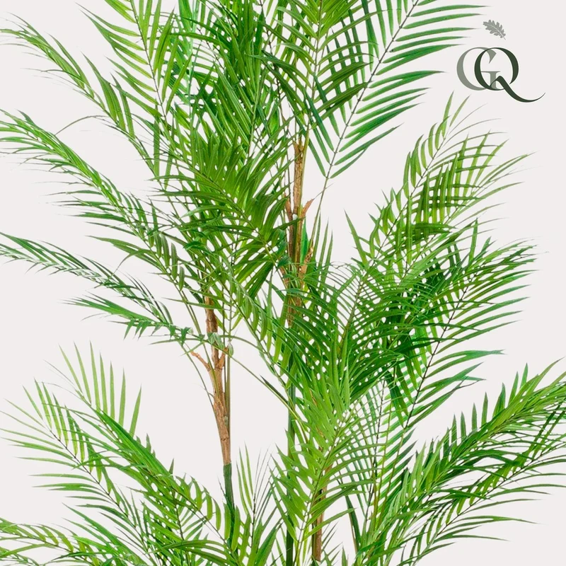 Künstliche Pflanze - Chamaedorea Elegans - Bergpalme - 180 cm