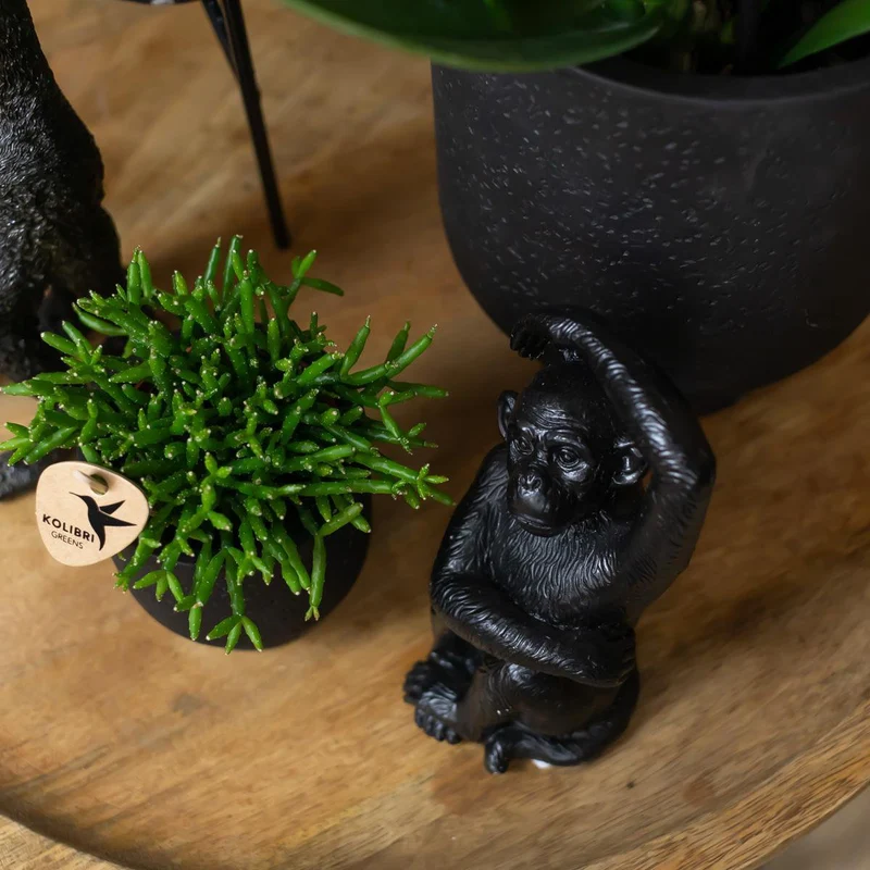Dekorationsstatue Sitzender Affe - Schwarz