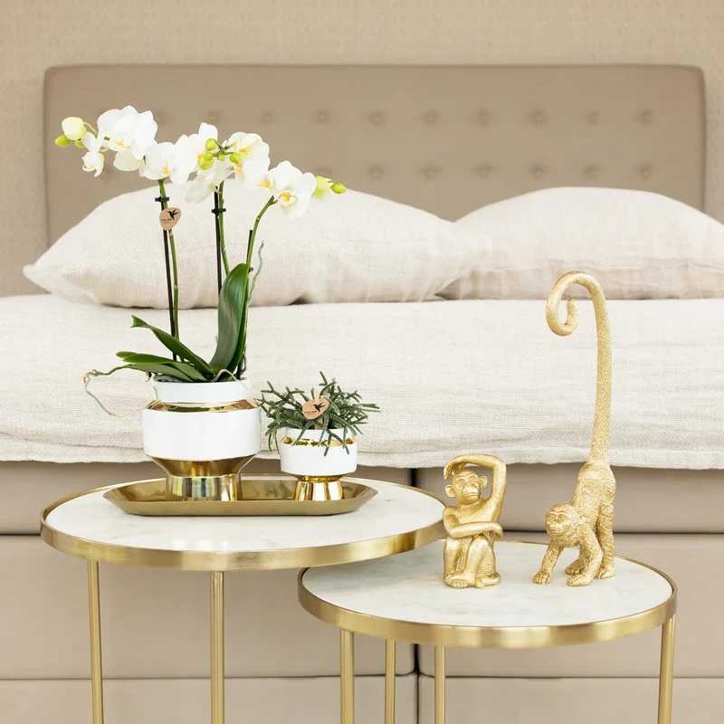 Sitzender Affe - Gold