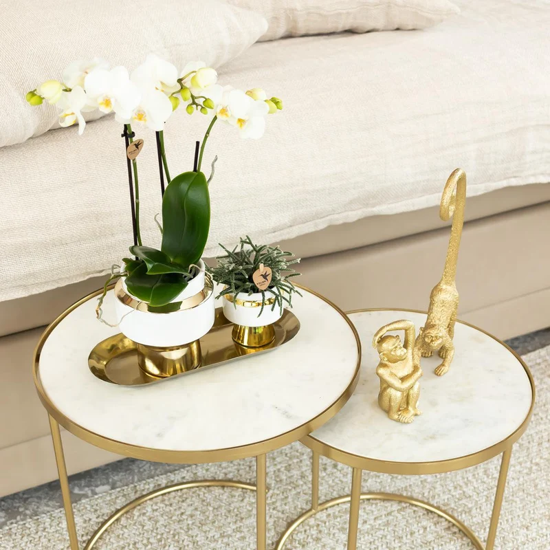 Sitzender Affe - Gold