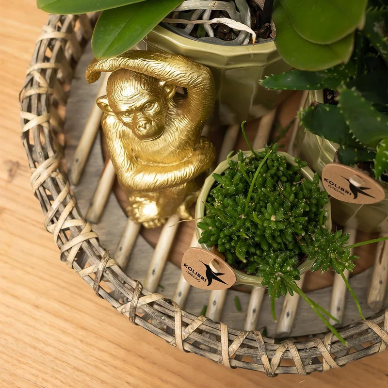 Sitzender Affe - Gold