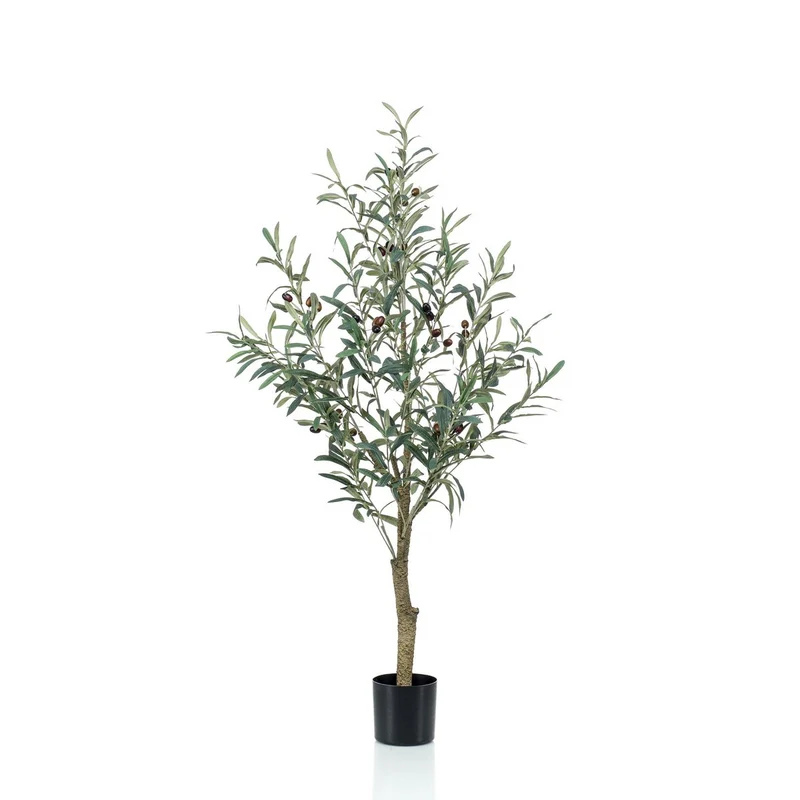 Art Olivenbaum - Olea Europaea - Olivenbaum - 115 cm
