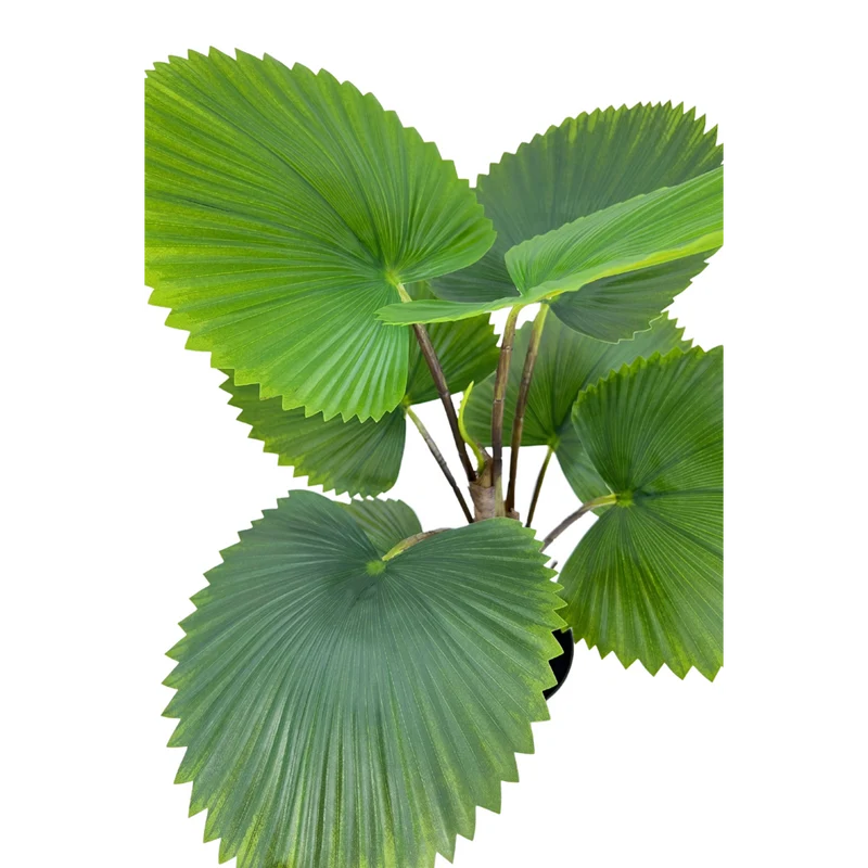 Künstliche Fächerpalme 75cm