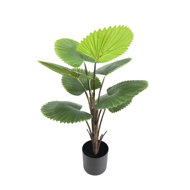 Künstliche Fächerpalme 75cm