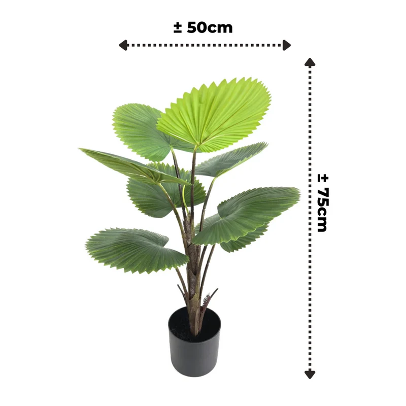 Künstliche Fächerpalme 75cm