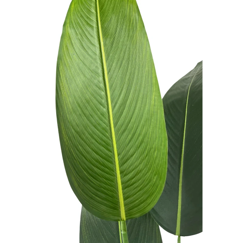 Künstliche Strelitzia-Pflanze mit Blüte 180 cm