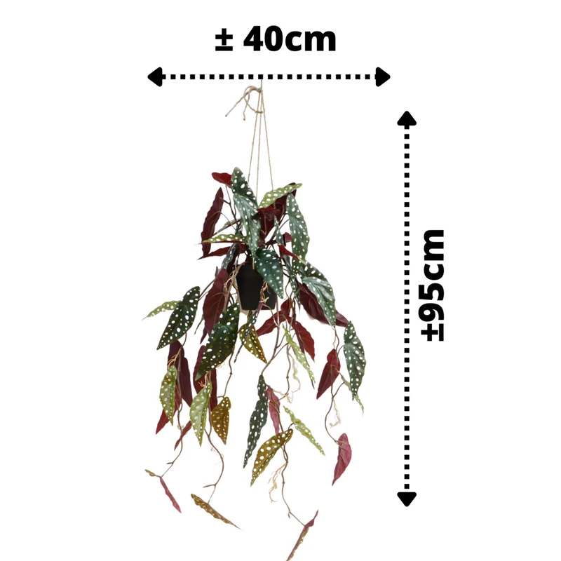 Künstliche Hängepflanze Begonia Maculata, 95 cm