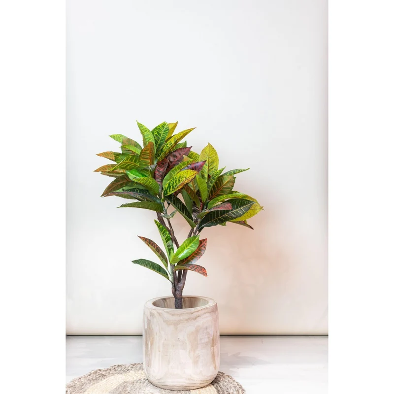 Künstliche Pflanze - Croton Codiaeum - Wonderbush - 95 cm