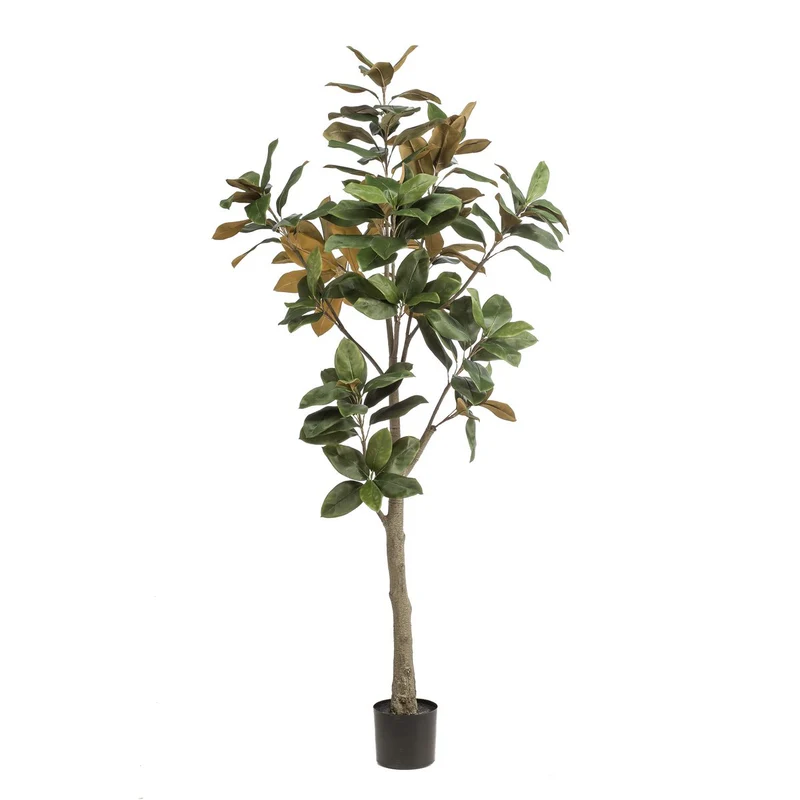 Künstliche Pflanze - Magnolia Grandiflora - 180 cm