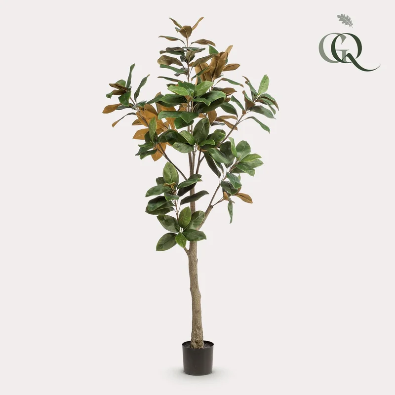 Künstliche Pflanze - Magnolia Grandiflora - 180 cm