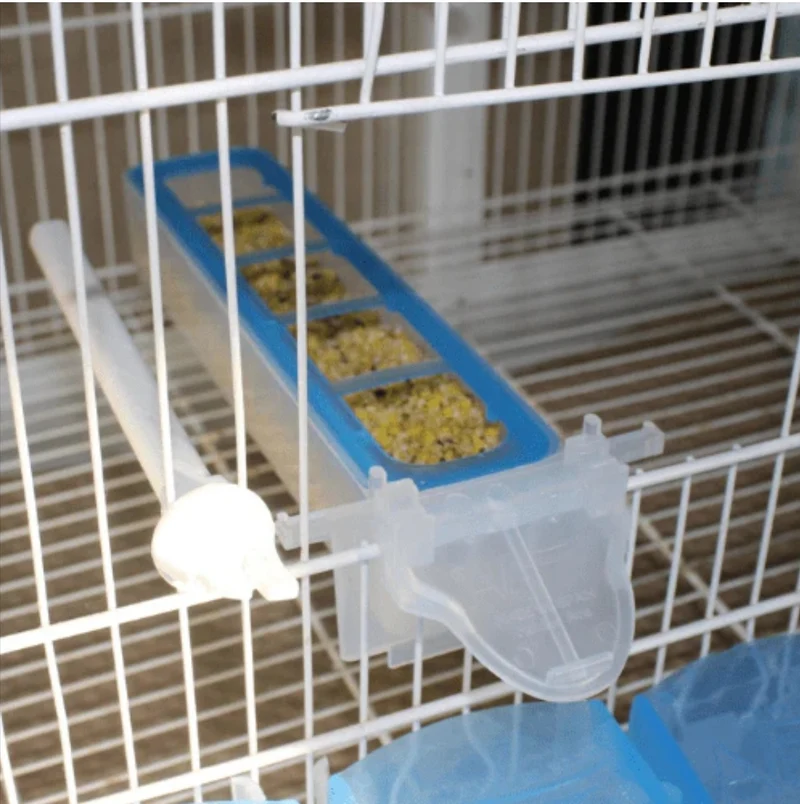 Apollo Feeder – Moldes Ave