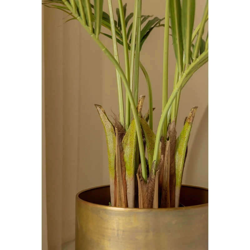 Künstliche Kentia-Palme 180 cm