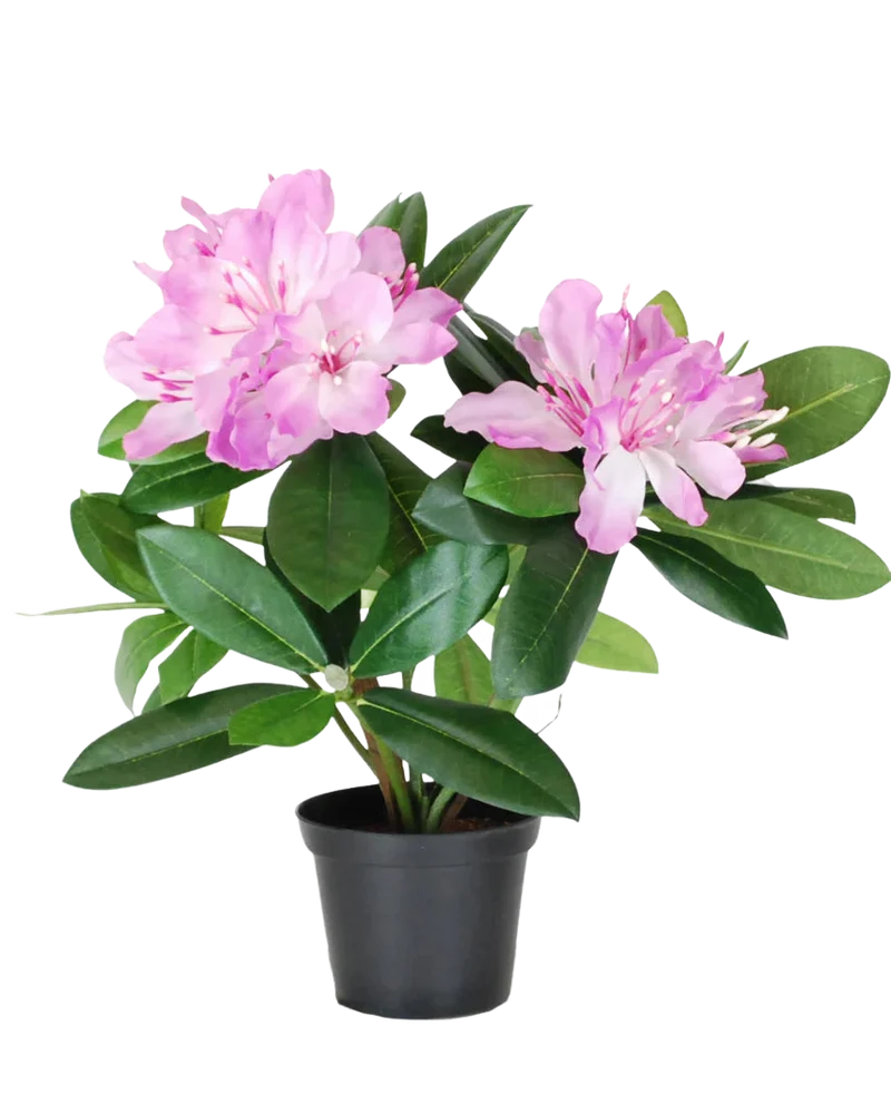 Künstliche Pflanze Rhododendron 34 cm