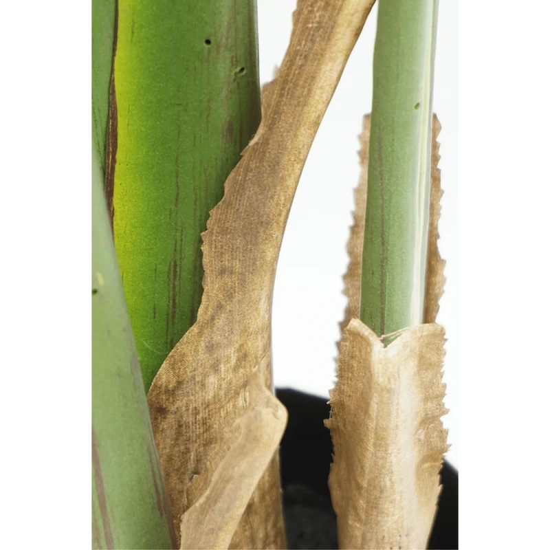 Strelitzia Kunstpflanze 180cm