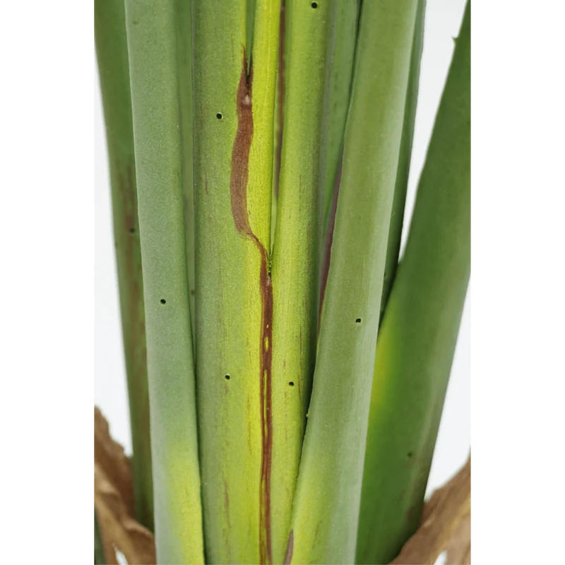 Strelitzia Kunstpflanze 180cm