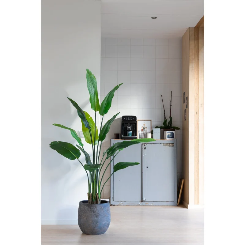 Strelitzia Kunstpflanze 160cm