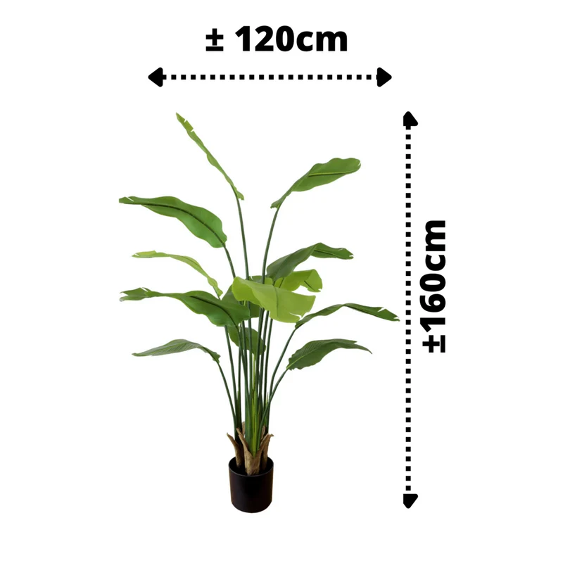 Strelitzia Kunstpflanze 160cm