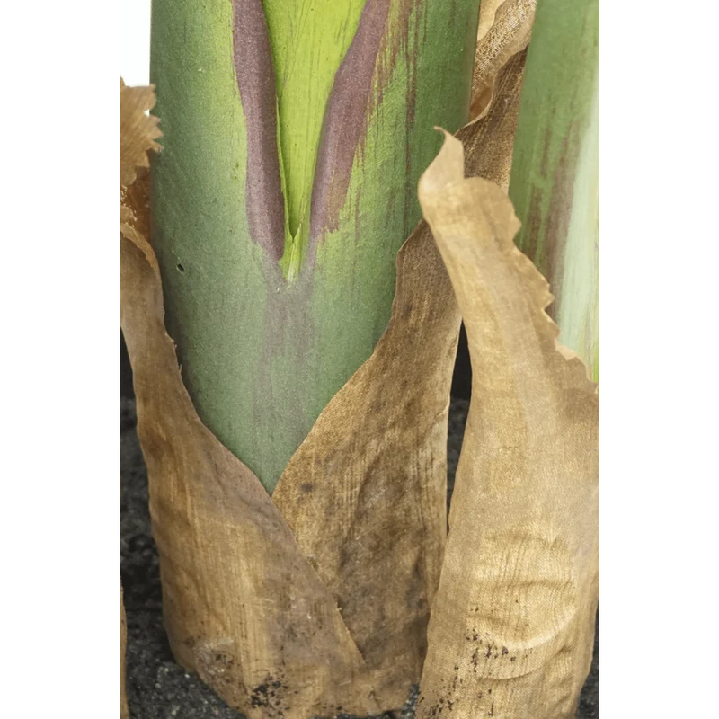 Strelitzia Kunstpflanze 160cm