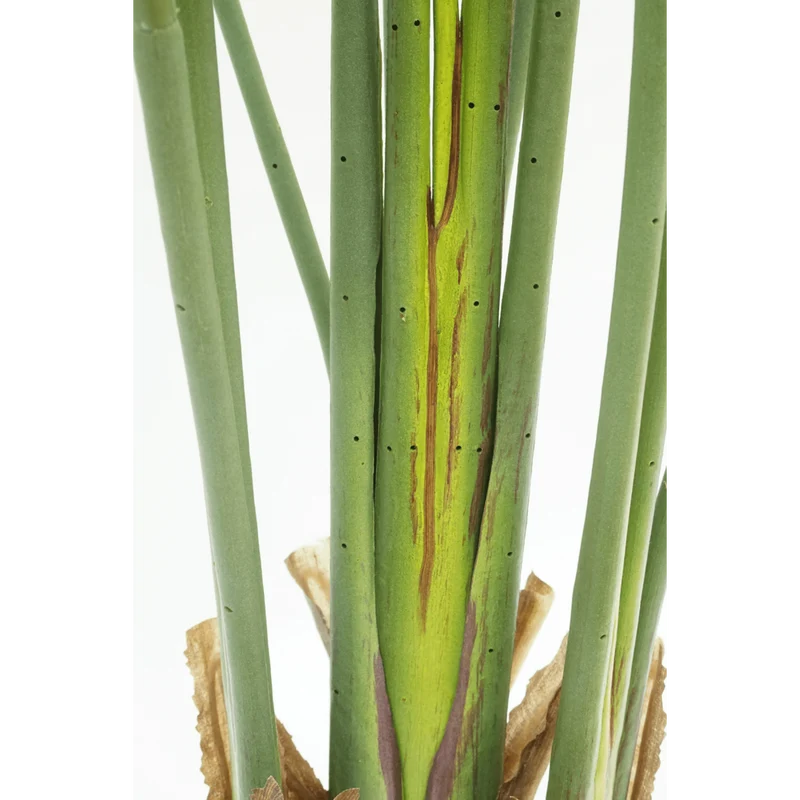 Strelitzia Kunstpflanze 160cm
