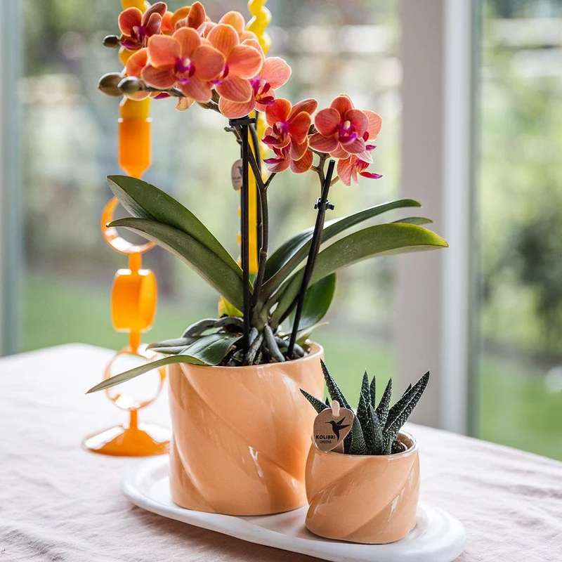 Übertopf „Candy“ - Pfirsich - Ø6cm