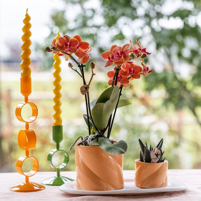 Übertopf „Candy“ - Pfirsich - Ø6cm