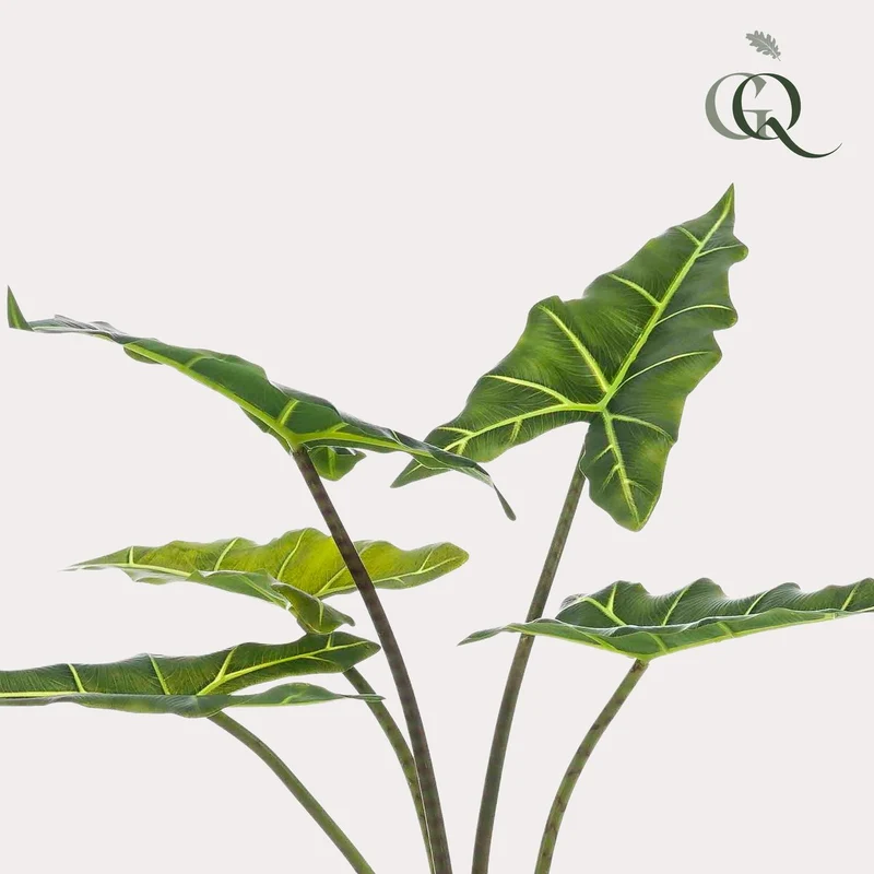 Kunstpflanze - Alocasia Frydek - Elefantenohr - 80 cm