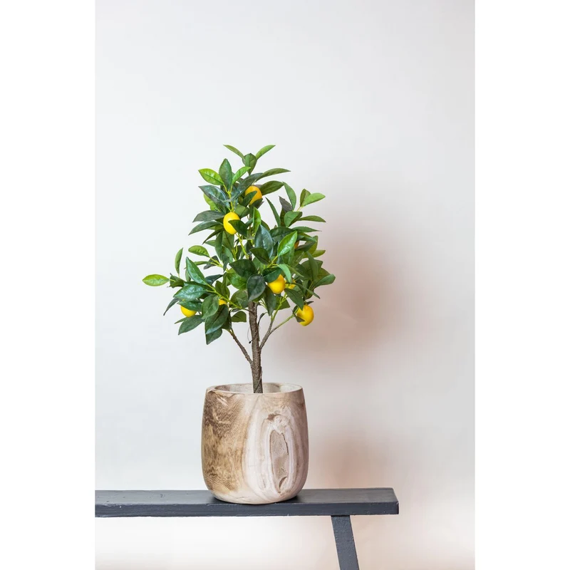 Kunstpflanze - Zitruslimonia - Citroenboom - 75 cm