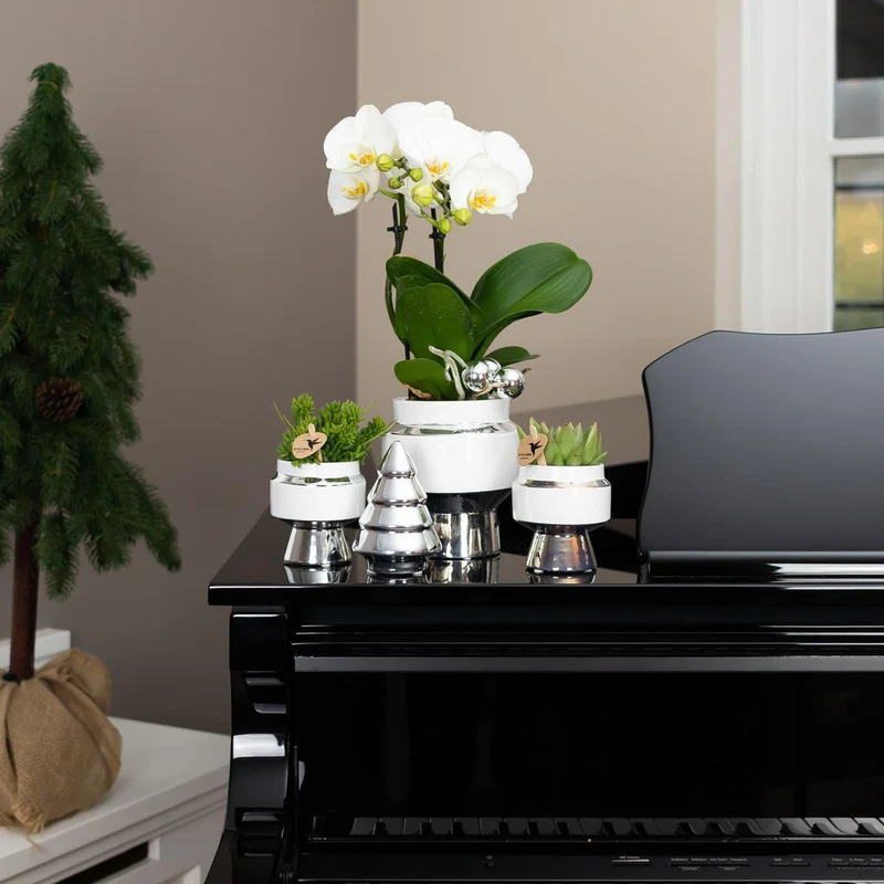 Le Chic Blumentopf – Weißer dekorativer Keramiktopf mit silbernen Details – Ø6 cm