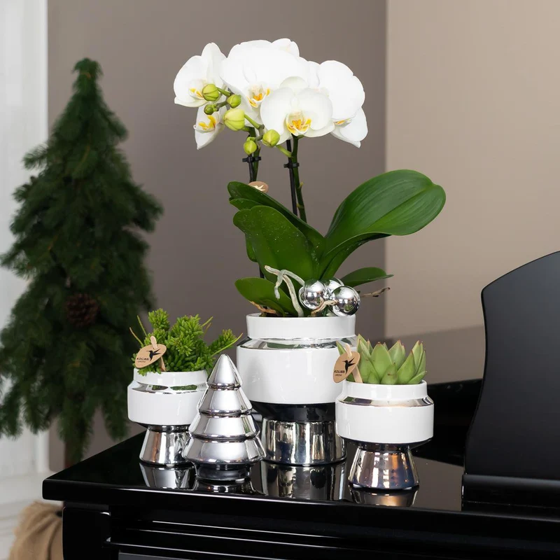 Le Chic Blumentopf – Weißer dekorativer Keramiktopf mit silbernen Details – Ø6 cm