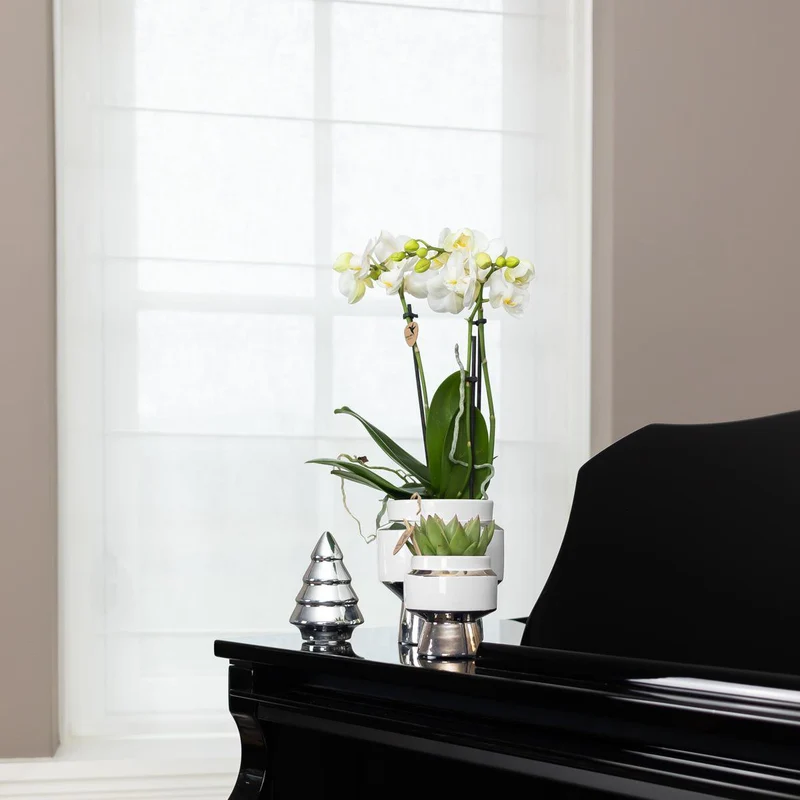 Le Chic Blumentopf – Weißer dekorativer Keramiktopf mit silbernen Details – Ø6 cm
