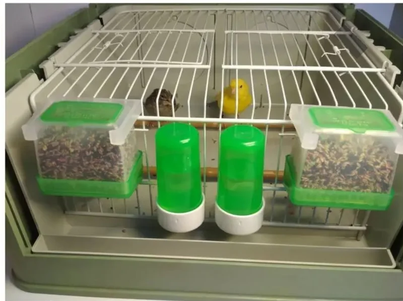 Carla Futternapf „Anti-Waste“ GRÜN 125 Gramm