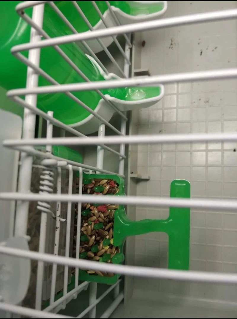 Carla Futternapf „Anti-Waste“ GRÜN 125 Gramm