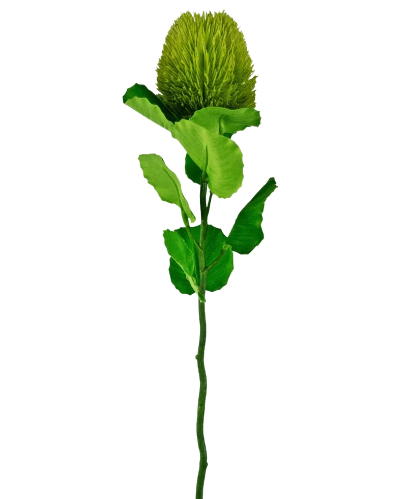 Künstliche Blume Banksia 59 cm grün