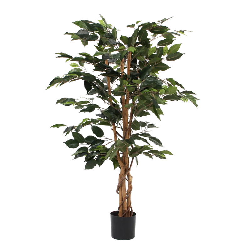 Künstliche Ficus-Pflanze – H110 x Ø65 cm – Grün