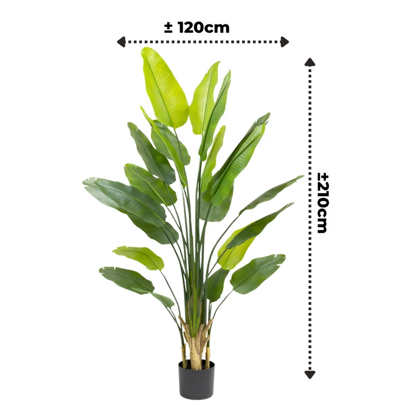 Künstliche Strelitzia-Pflanze 210 cm