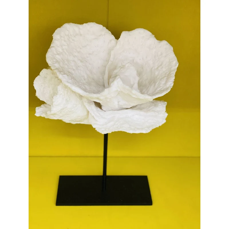 Korallenblume